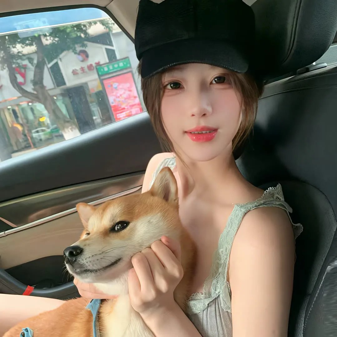 豪斯医生第七季 封面